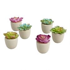 Faux Mini Succulents In Cement Pots World Market