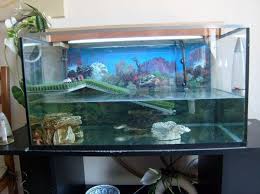 Fabrication Decor Aquarium Tortue Aquarium Pour Tortue Aquarium De Tortue Aquarium Decoration