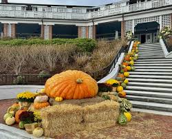 Image result for giant pumpkin