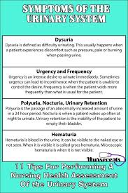 11 Tips For Performing A Nursing Health Assessment Of The Urinary System Nursecepts In 2020 Fundamentals Of Nursing Nursing School Prerequisites Nursing Students