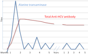 Molecular diagnostics of hepatitis c virus infection: Hepatitis C Wikipedia