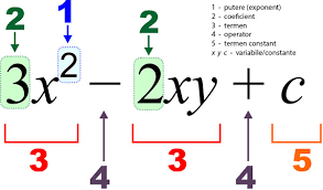 Să înmulțim numerele 53 și 52. Expresii Algebrice Termeni Asemenea Formule De Calcul Prescurtat