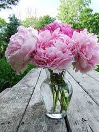 Maybe you would like to learn more about one of these? Produce Junction Near Me