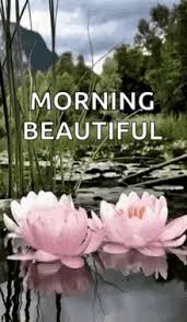 A beautiful postcard of steaming coffee and poetry for your really funny animated good morning gif. Good Morning Beautiful Good Morning Beautiful Quotes Good Morning Beautiful Meme Good Morning Beautiful Gif The State