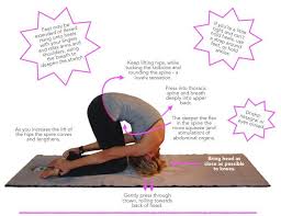 How To Do Sasakasana Yoga Poses Yoga Teacher Resources Asana