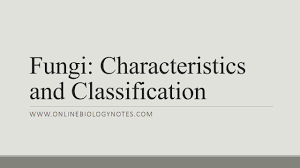 Fungi Characteristics And Classification Online Biology Notes