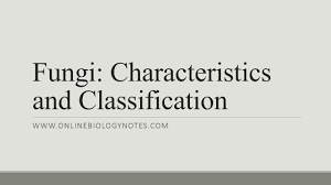 fungi characteristics and classification online biology notes