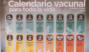 Amigos comparto como iniciar vacunación en pollitos finos calendario vacunación día 1, 2,3: Calendario Vacunal Para Toda La Vida Las Vacunas Que Nos Tenemos Que Poner Por Edades