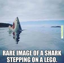 15 Hilarious Lego Memes We All Can Relate Too And Laugh At Funny Animal Jokes Animal Jokes Funny Animal Memes