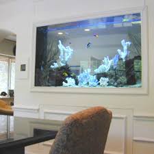 Beautiful Wall Aquarium Fish Tank Wall House Design