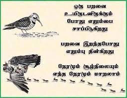When i was young i was sure of everything; Dxfbfg Xcdbffg Tamil Motivational Quotes Good Life Quotes Self Improvement Quotes