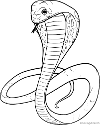 Print coloring page download pdf. Simple Realistic Cobra Coloring Page Coloringall