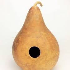 Birdhouse Gourds For Sale Cart Amish Gourds Gourds Birdhouse Gourds Painted Gourds