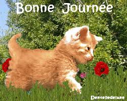 Résultat de recherche d'images pour "bonne journée"