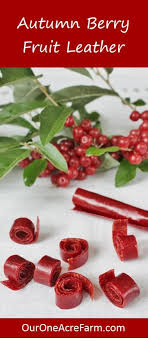 There are several sources online for a red, pulpy autumn olive jam (elaeagnus umbellata). Autumn Olive Fruit Leather