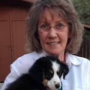 Remembering Yosemite High School