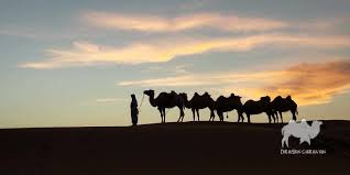 Camel caravan in the sahara, morocco. Adventure Tours Dragon Caravan