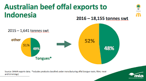 Indian Buffalo Swallowing Big Slice Of Indo Market Beef