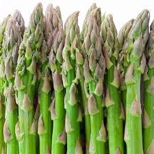 Image result for Asparagus buchananii