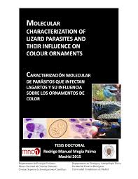 Pdf Molecular Characterization Of Lizard Parasites And Their Influence On Colour Ornaments