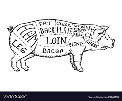 Beef Pig Diagram Wiring Diagram