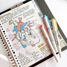 It's an especially good study tactic for visual learners. 130 Aesthetic Note Taking Ideas Study Notes Notes Inspiration School Study Tips
