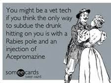 Did you enjoy these quotes? 13 It S A Vet Tech Thing Ideas In 2021 Vet Tech Vet Tech Humor Veterinary Humor