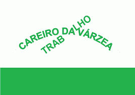 Bandeira Careiro de Várzea - Amazonas