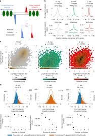Actress (7), beautiful (6), brunette (4), american (4), fashion icon (3), i would do her (3), born 1938 (3). Determinants Of Promoter And Enhancer Transcription Directionality In Metazoans Nature Communications