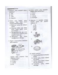 Sorenya aku bangun, kembali teringat mba lisa yang baru datang, akupun membereskan mainanku kembali ke kamar, lalu berjalan ke arah kulkas, cari makanan. Sains Tahun 3 Flip Ebook Pages 1 16 Anyflip Anyflip
