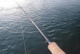 モンスター リミテッド