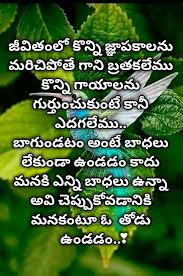 Feel Happy Successful Life Quotes Life Lesson Quotes Life Quotes Pictures