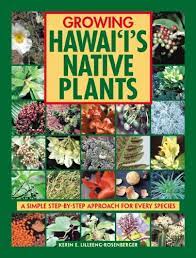Some prefer to place the seeds in a tray of media under a mist system. Growing Hawaii S Native Plants A Simple Step By Step Approach For Every Species Kerin L Lilleeng Rosenberger 9781566477161 Amazon Com Books