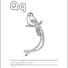 Coloring the national bird quetzal guatemala coloring pages. Letter Q Coloring Book Free Printable Pages