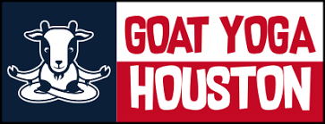 I always felt so much peace when i was there and the classes made me so more. Home Goat Yoga Houston Baby Goat Yoga In Houston Metro Area