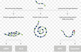 Select a design to create a logo now! Arimoclomol Technologie Niemann Pick Krankheit Orphazyme Aps Klinische Studie Technologie Png Herunterladen 1000 639 Kostenlos Transparent Text Png Herunterladen