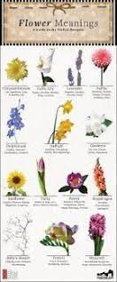 Flowers that mean emotional healing. Flower Meanings The Language Of Flowers Flower Meanings Flower Meanings Chart Plant Symbolism