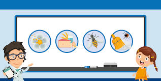 Se il mal di stomaco è correlato a un'intolleranza alimentare, arriverà poche ore dopo aver mangiato il. Allergia Alimentare Ospedale Pediatrico Bambino Gesu