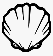 Clam, oyster 3d vector icon shell with pearl. Shell Clip Art Mermaid Shell Clipart Black And White Hd Png Download Transparent Png Image Pngitem