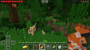Download mcpe 1.0.0 ender update for free on android: Minecraft Pocket Edition 1 0 3 0 Releases Mcpe Minecraft Pocket Edition Downloads