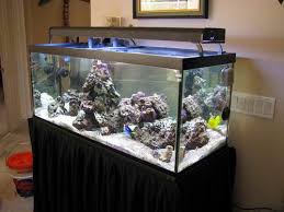 Blue Marine Aquarium Rs 19000 Set Marine Aquarium Id 16907957462