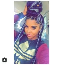 Black And Purple Braids Grey Black And Purple Box Braids Purple Box Braids Hair Styles Grey Box Braids