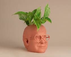 The Elton John Planter for House Plants and Succulents