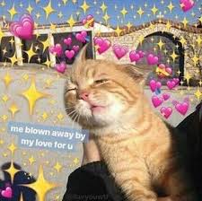 Reaction Cute Love Memes Cute Memes Love Memes