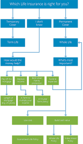 Insurance Needs Flowchart Real Life Advice