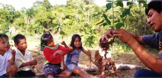 .personas adultas, talleres de ocio ecológico para todas las edades y actividades ambientales para jóvenes y niños. Realizan Talleres En Municipios Sobre Implementacion De Programas De Educacion Ambiental