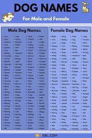Country dog names inspired by female singers. Facebook