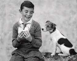 1920s 1930s Boy Eating Sandwich As Dog Photograph By Vintage Images