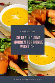 Wundermittel Morosche Mohrensuppe Fur Mensch Und Hund Hundekind Abby Hundeblog Hunde Ernahrung Rezept Fur Hundekekse Ernahrung