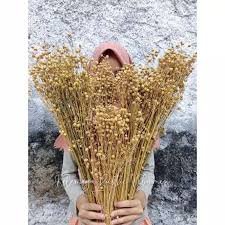 Use our database to access trusted records about over 170 million people from any device. Beli Hiasan Buket Bunga Lino Dried Untuk Dekorasi Rustik Daun Kering Sikas Palem Gandum Lagurus Ilalang Seetracker Indonesia